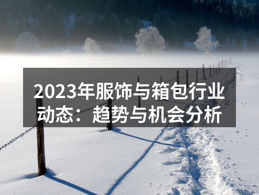 2023年服饰行业整体市场分析